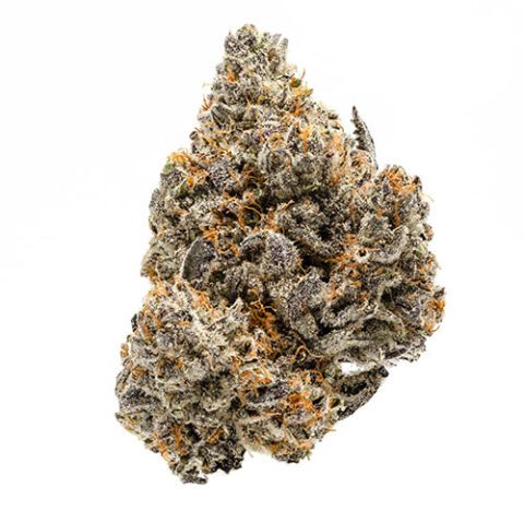 Royal Durban Strain | Clear-Headed Sativa with Citrus & Pine