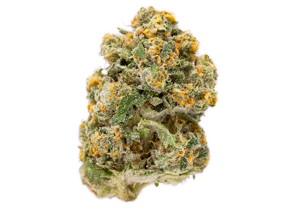 Synonym Yumz Strain Cannabis Sativa With Citrus Spice   Synonym Yumz 